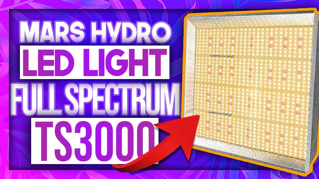 Mars Hydro TS3000 LED Grow Light Review Week 2 Bloom