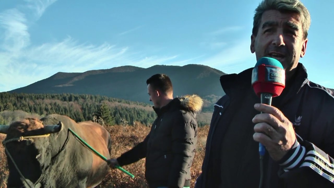 - POSKOK POBIJEDIO BIJELOG MARKA SEFEROVICI DALI IZJAVE POSLIJE MECA PODBRDO 2020 Bull Jump