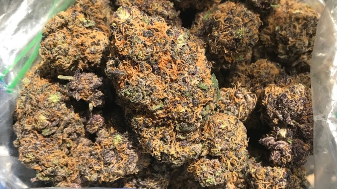 SHERBLATO STRAIN REVIEW