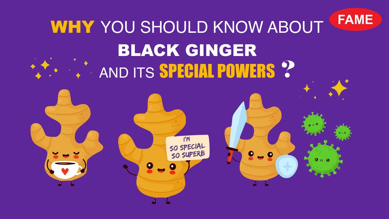 Why you should know about BLACK GINGER and its SPECIAL POWERS?