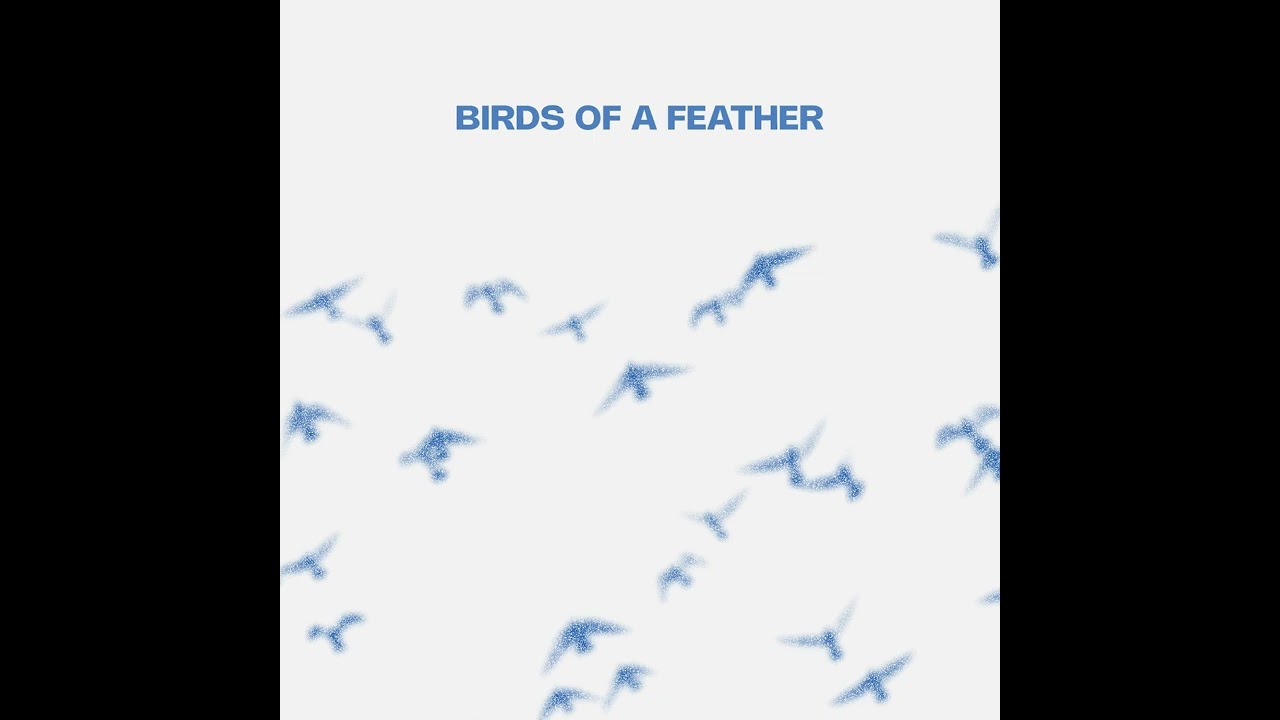 BIRDS OF A FEATHER - Acoustic Cover (Audio Only)