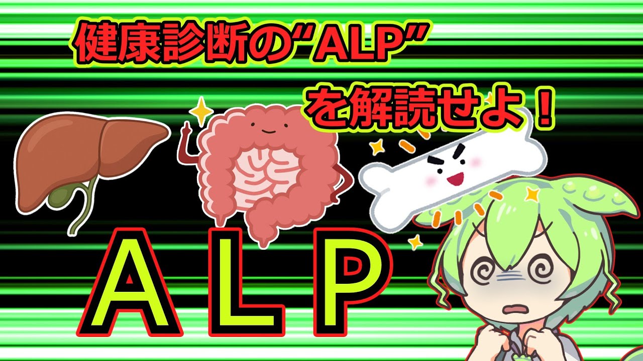【ゆっくり解説】ALPって何？骨と肝臓が語るカラダのサイン
