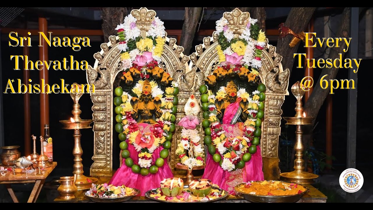Sri Naga Devatha Pooja 17-01-2023 Live Event || Sri Kathirgaama Skandan Temple, N12 0QF