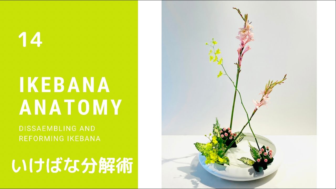 14【ikebana】IKEBANA ANATOMY いけばな分解術