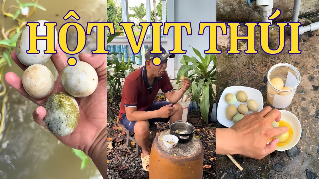 Tổng hợp video hay phần 15: Tới công chuyện với mấy trứng vịt thúi này rồi