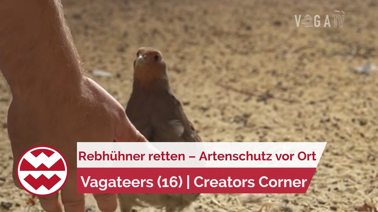 Saving Partridges &ndash; Species Conservation on Our Doorstep! | Vagateers (16) | Creators Corner | Wo...