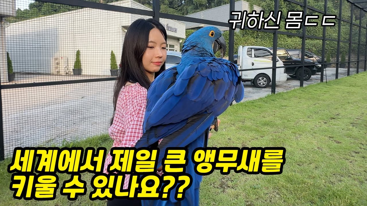 와 이걸 보네요ㄷㄷ 우리나라 단 몇 마리라는데 이걸 키우는 분이 있네요!