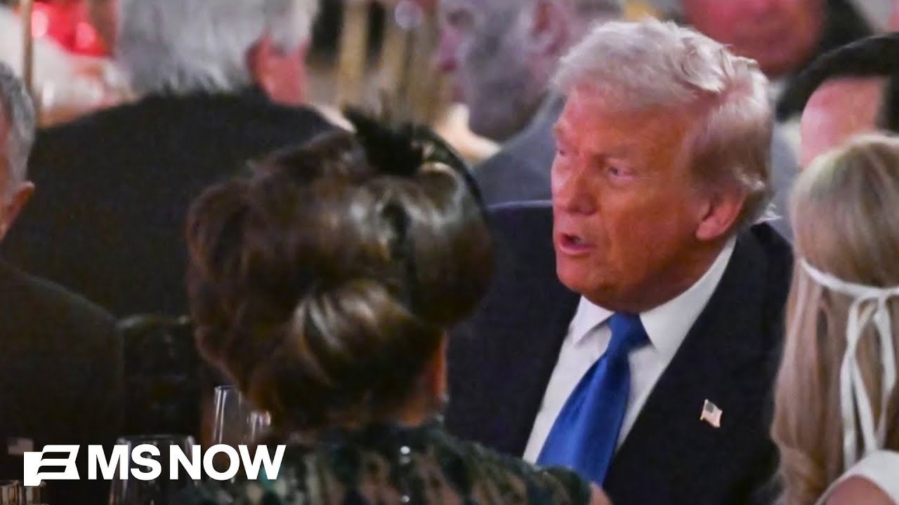 Comedian MOCKS weird Mar-a-Lago dog costume party: ‘Rich people are WEIRD!’