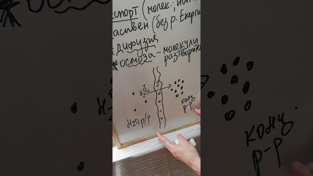 Клетъчна мембрана