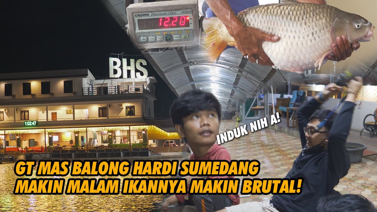 MANCING BETOT BABON DI KOLAM SULTAN BALONG HARDI SUMEDANG! 10 KILO CUMA BIKIN NYENGIR DOANG!