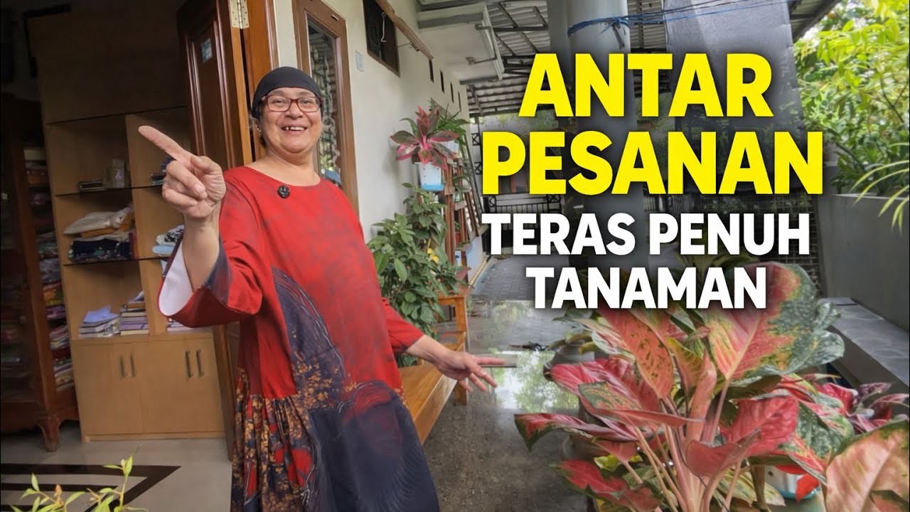 Antar Pesanan Anggrek Sekalian Lihat Koleksi Aglonema & Anggrek di Depan Rumah”