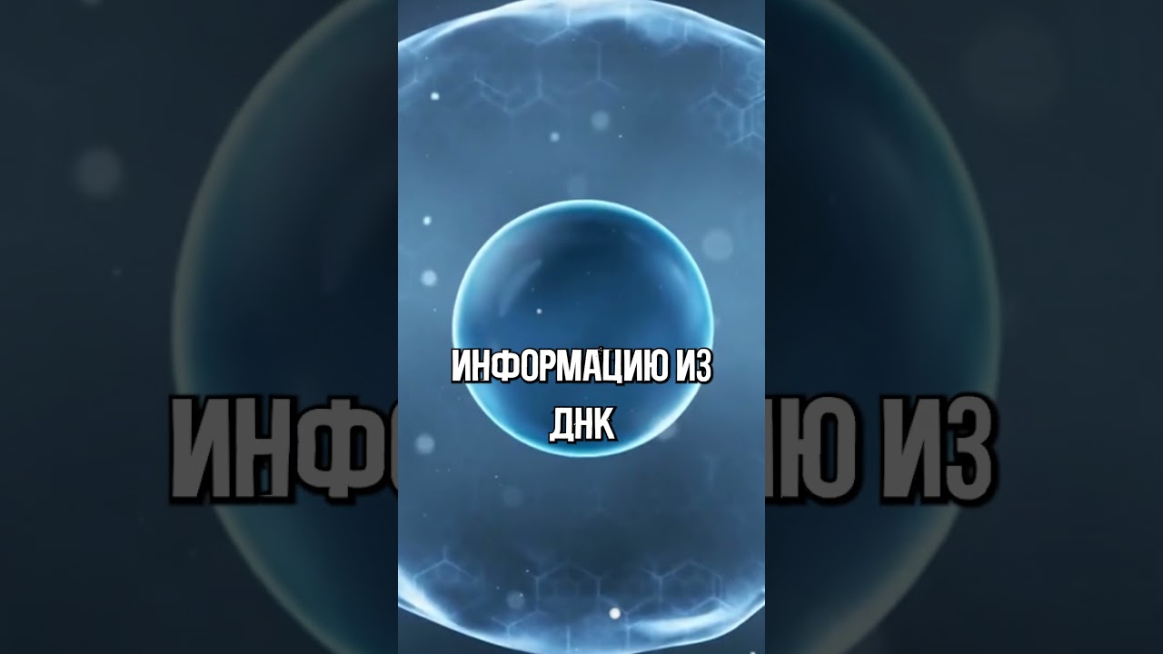 Рибонуклеиновая кислота - РНК #belok