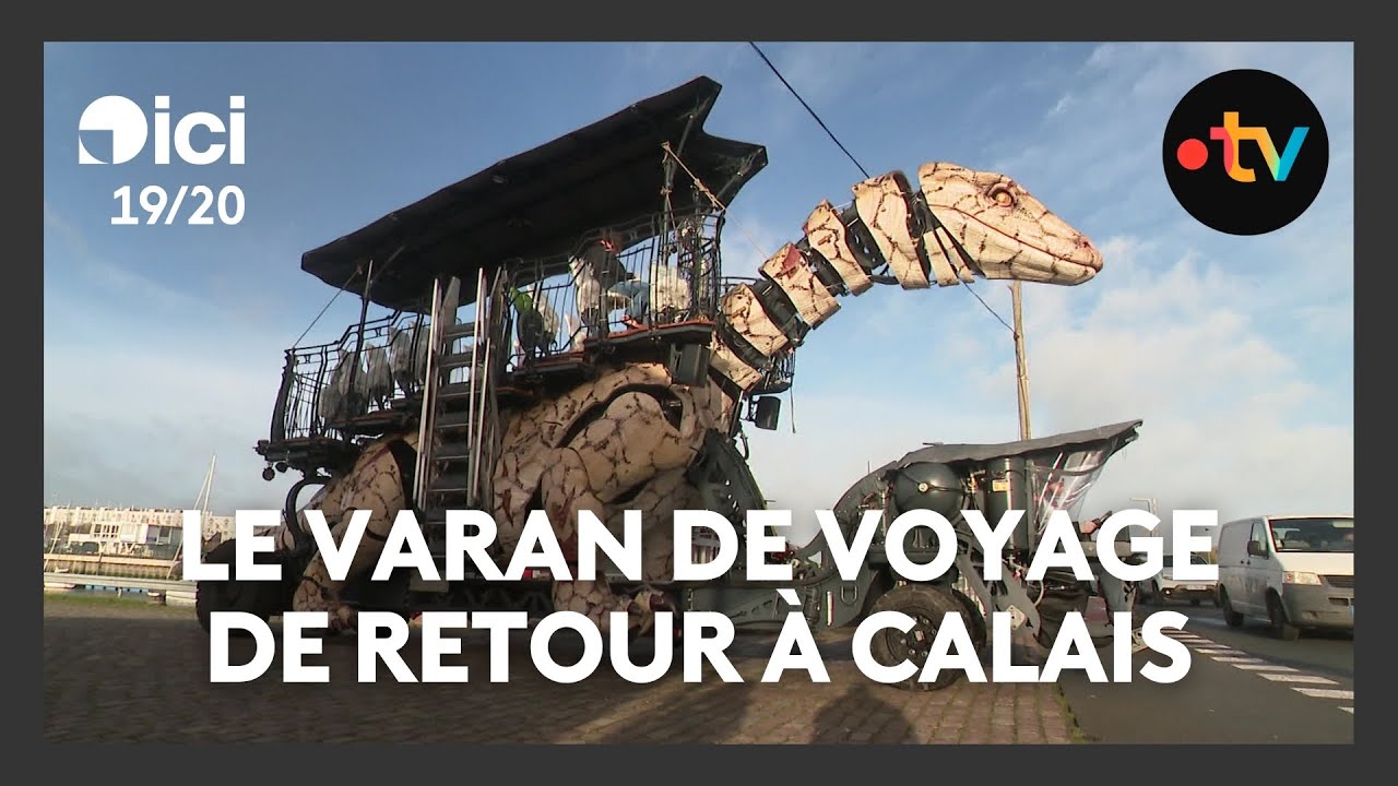 Le varan de voyage est de retour à Calais