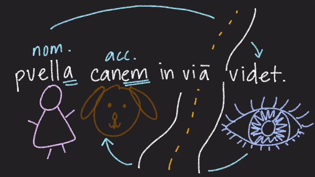 Latin Cases and Declensions
