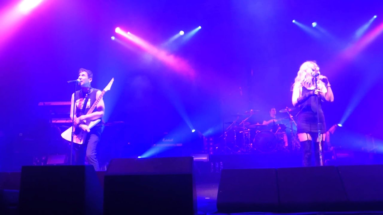 היהודים - 