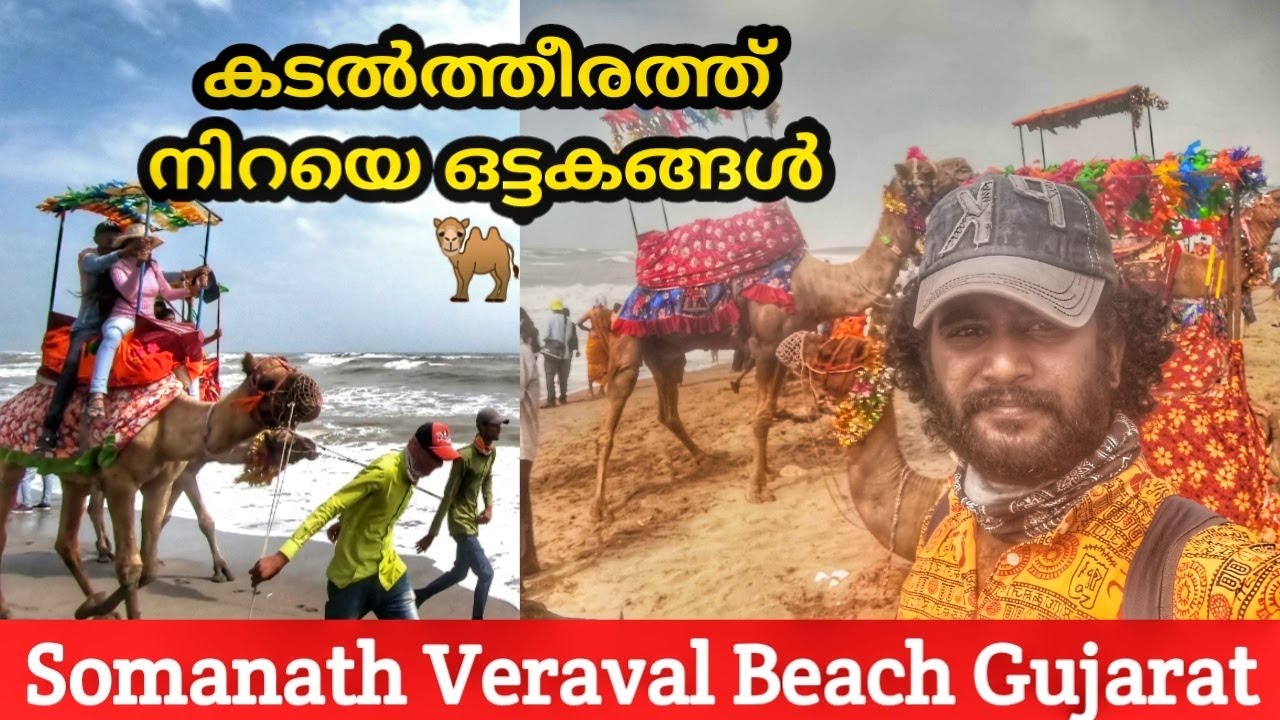 Exploring Somanath Beach | Following Somanath Beach Gujarat | Coastal City Somanath Vareval