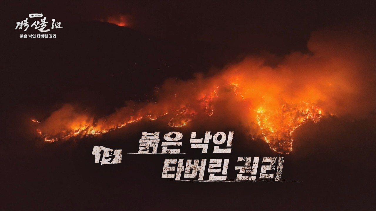 [TBC보도특집] 경북 산불 1년 1부-붉은 낙인 타버린 권리