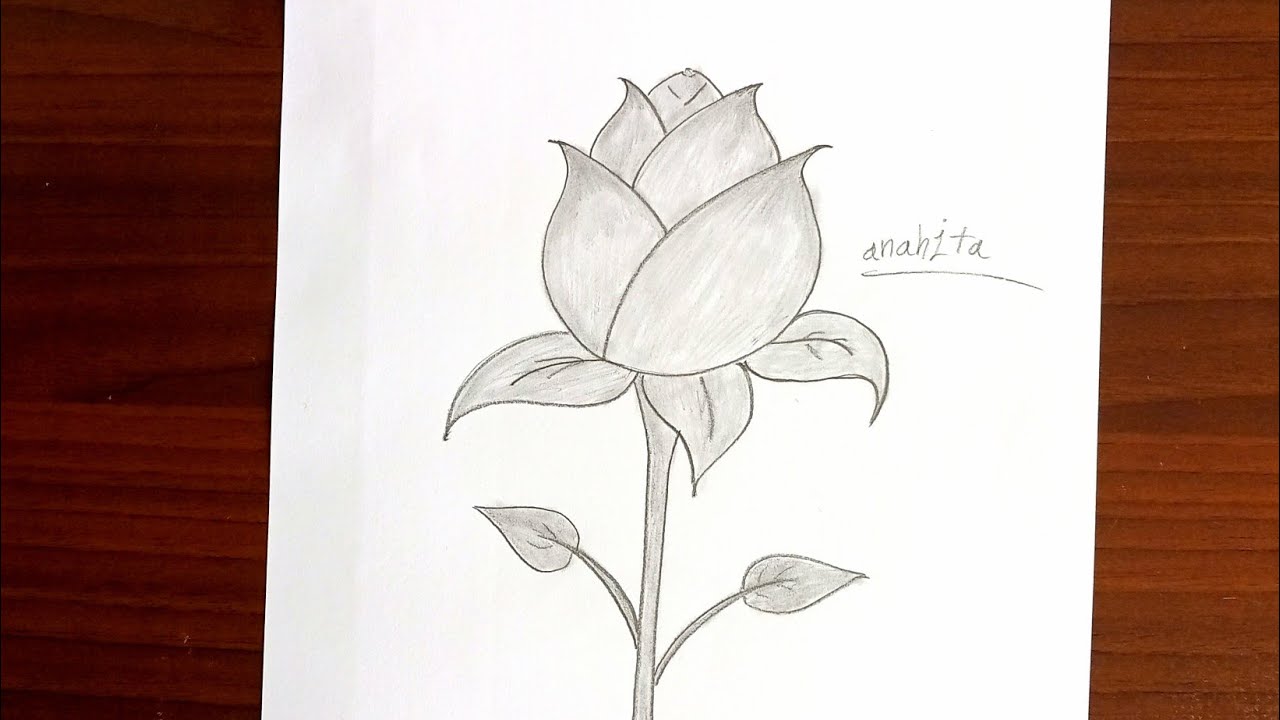 ۲۷ دسامبر ۲۰۲۵Easy Rose Drawing with Pencil | Step-by-Step Flower Sketch 🌹