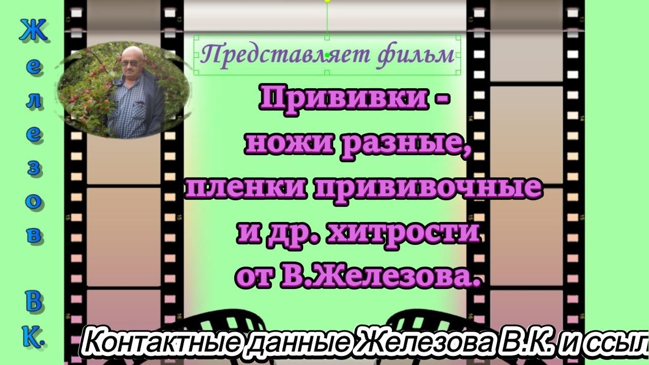 Прививки - ножи разные, пленки прививочные и др. хитрости от В.Железова.