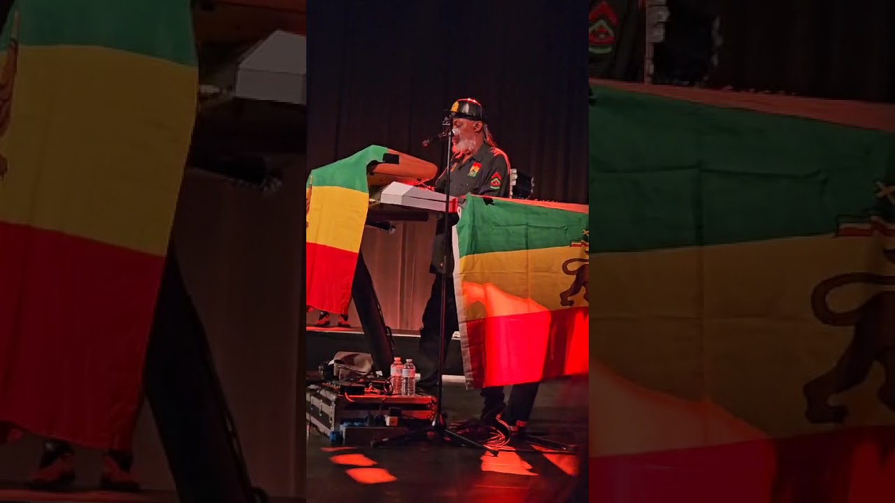 Steel Pulse avec David en transe 