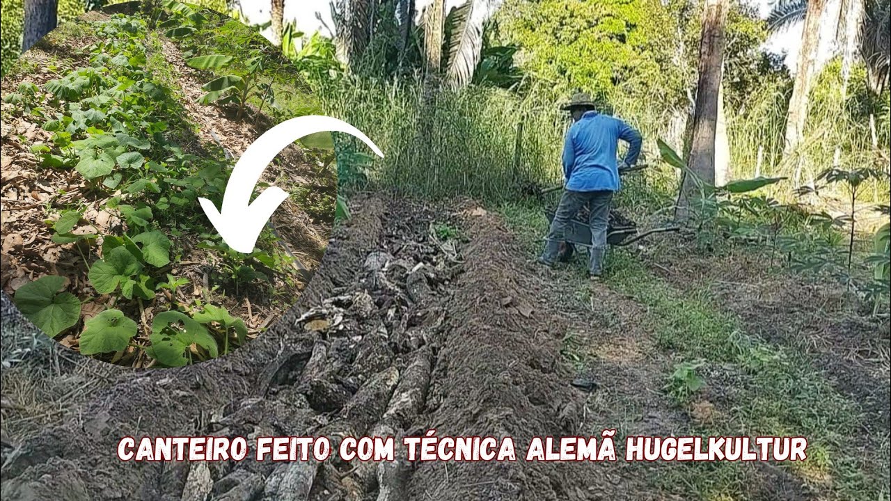 Canteiro feito com técnica Alemã hugelkultur (Huge)!