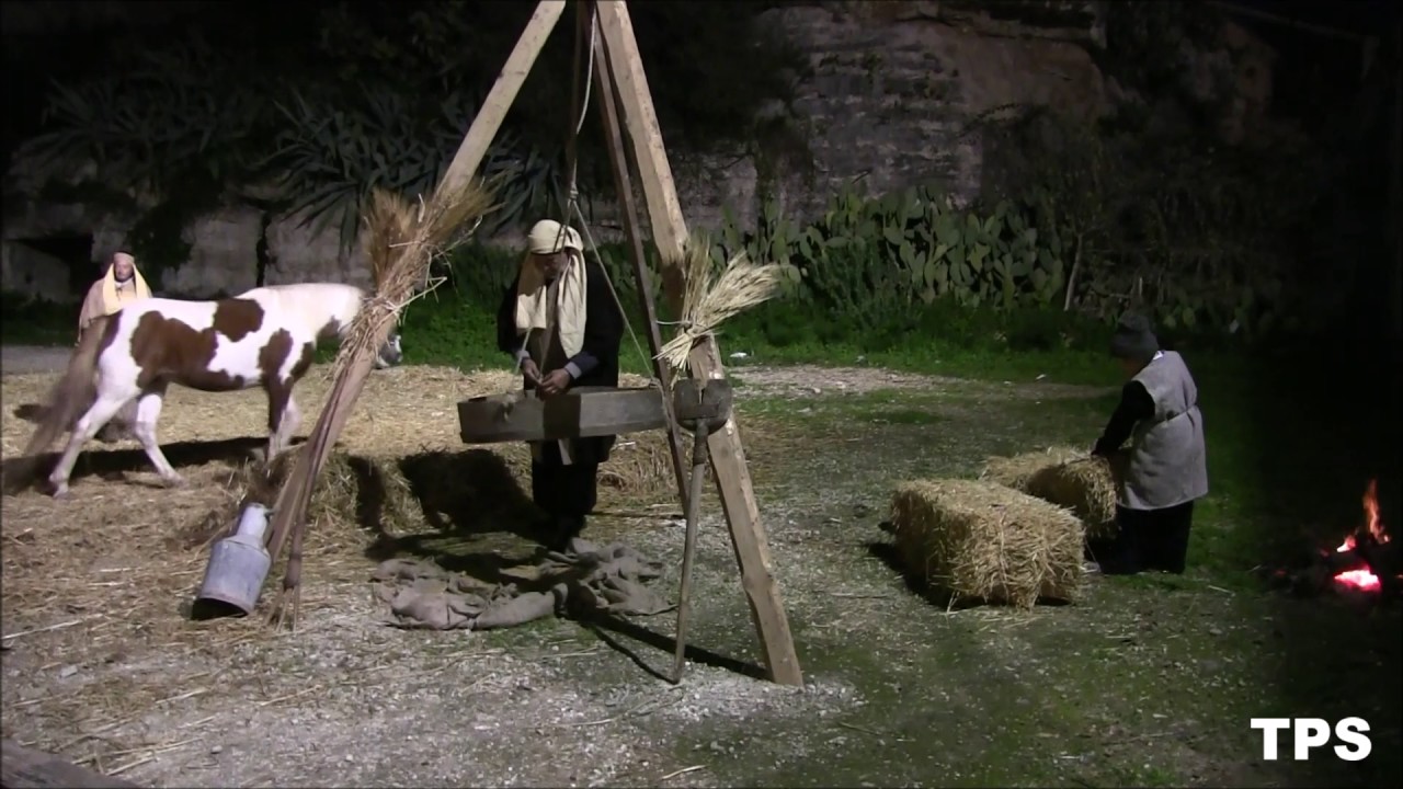 VISITA PRESEPE VIVENTE ( ISPICA 2016/2017 )