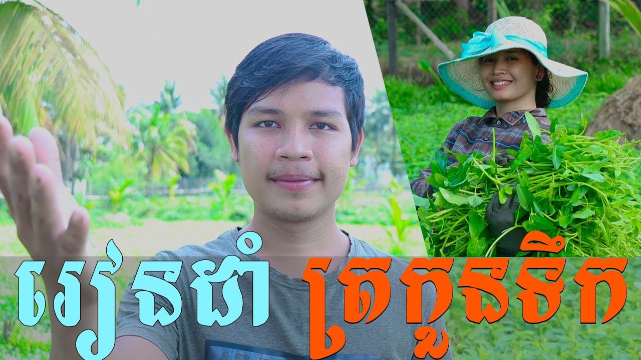 Sharing crops/ចែករំលែកការដាំត្រកួនទឹក