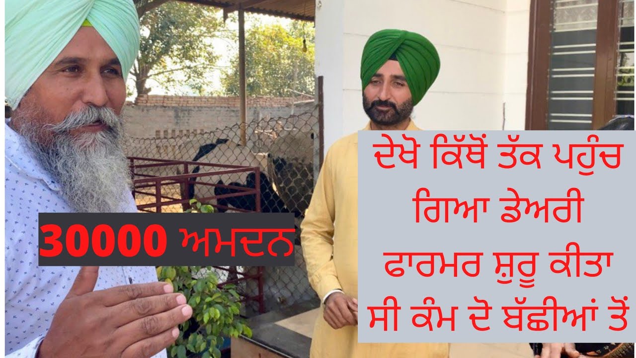 GROWING DAIRY FARM STARTED WITH TWO HEIFERS|AULAKH DAIRY FARM |RAMPURA PHUL|BATHINDA|PUNJAB|