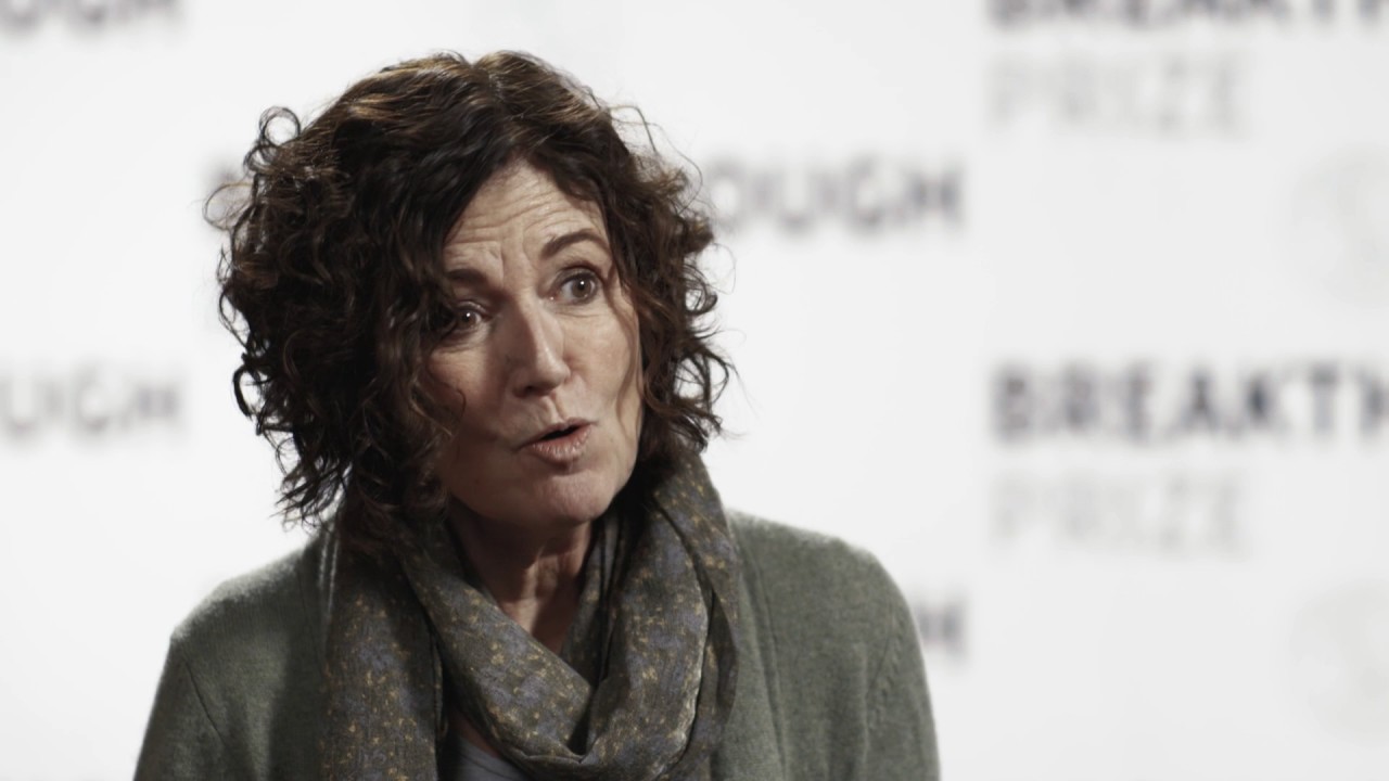 Titia de Lange: 2017 Breakthrough Prize Laureate