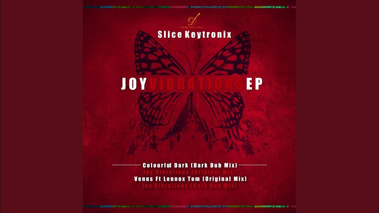 Joy Vibrations (Original Mix)