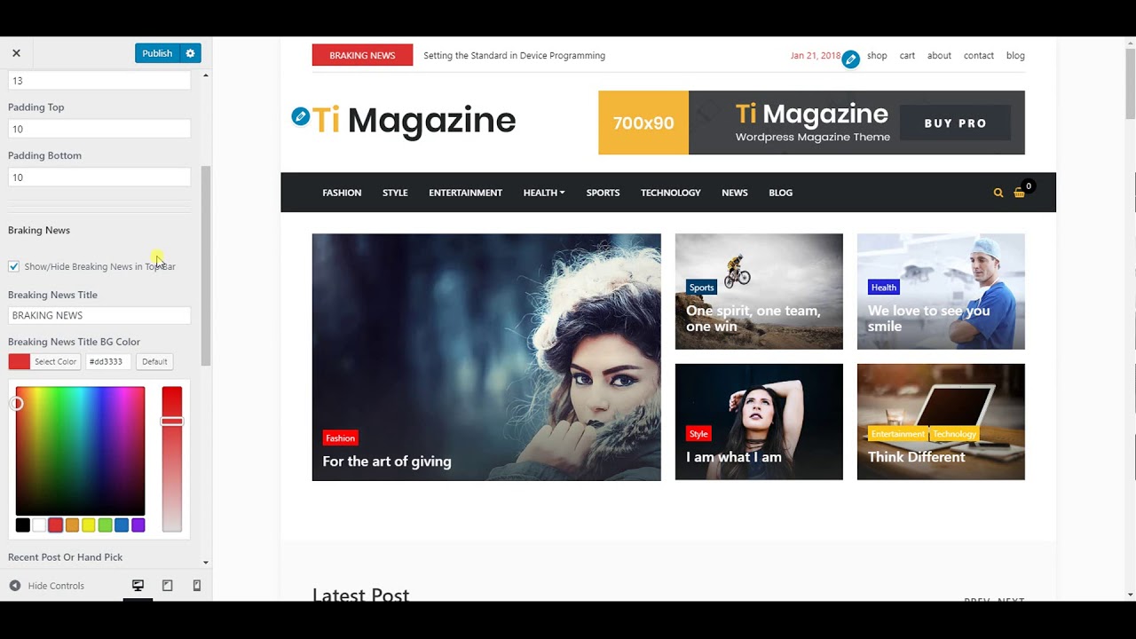 timagazine theme options of General & Header