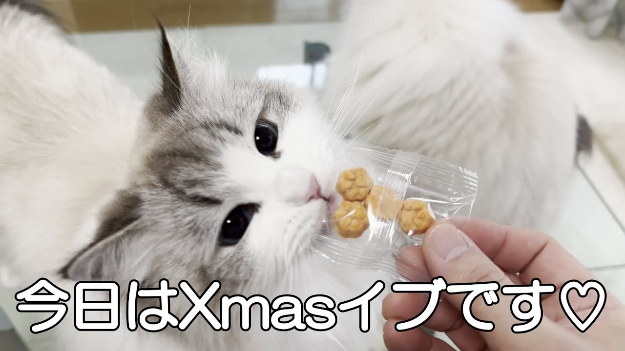 今日は待ちに待ったXmaイブです！クリスマスパーティーも大成功でした！