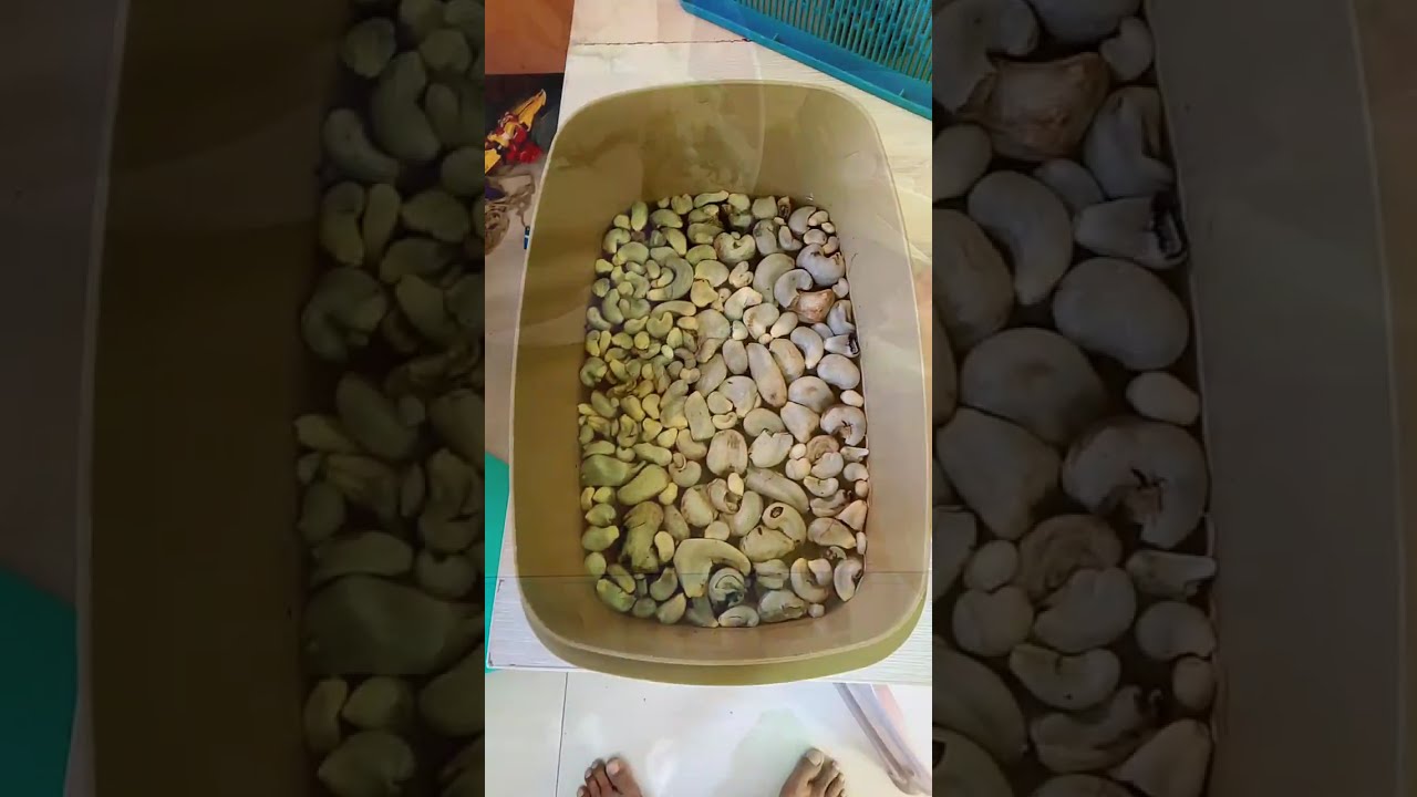 Mag luto tayo ng corn mushroom #buhayprobinsya #maisan 