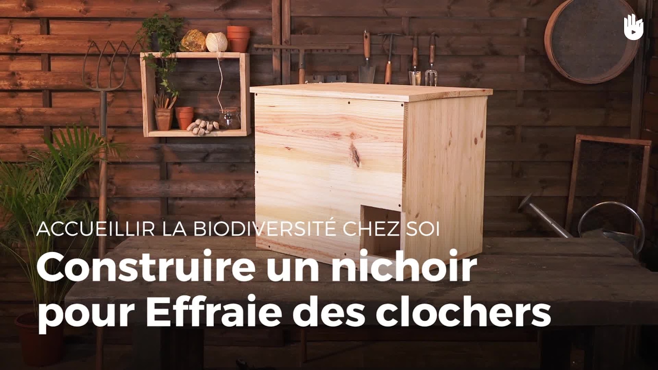 Construire un nichoir pour Effraie des clochers | Fabriquer des abris pour animaux