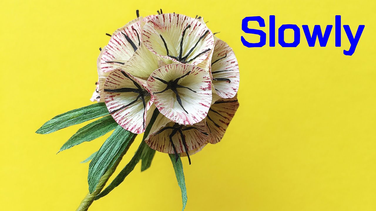 ABC TV | Как сделать бумажные цветы из стручков Scabiosa из крепированной бумаги (медленно)