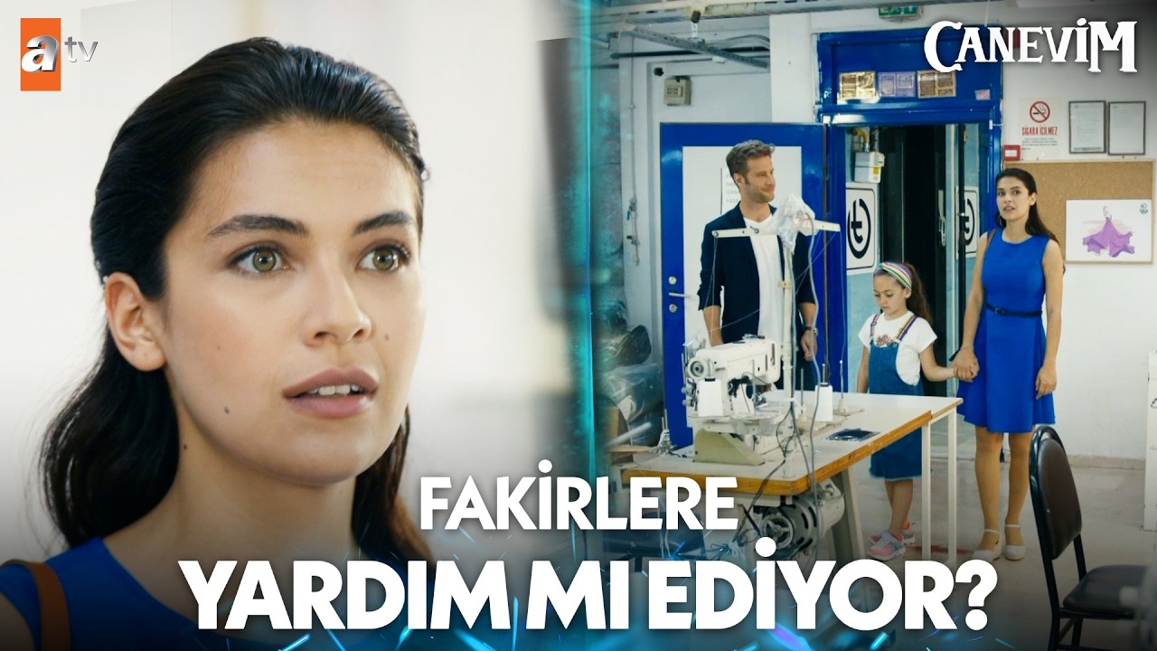 Taylan hayırsever mi yoksa saplantılı mı? - Canevim Kolaj