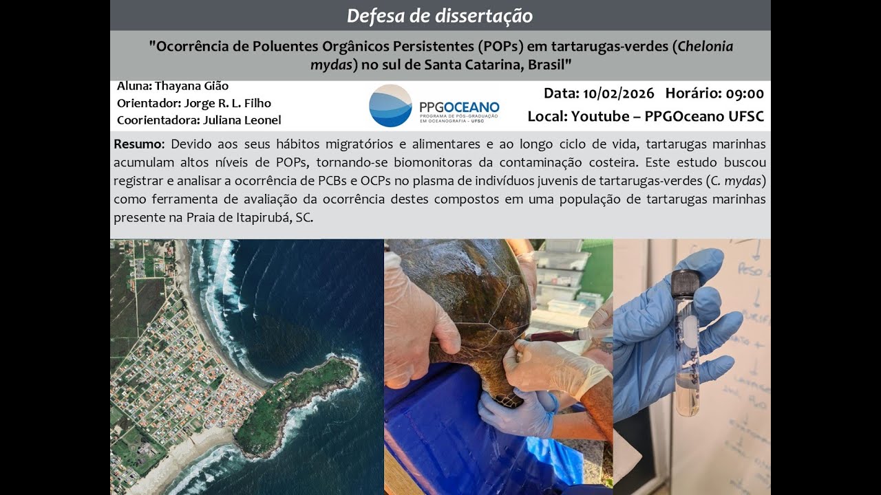 Defesa de Mestrado:  Thayana Gião