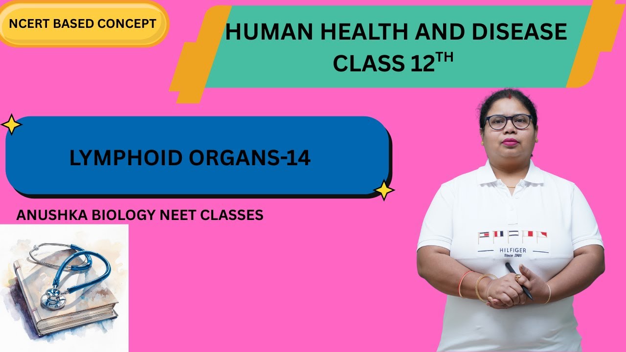 HUMAN HEALTH AND DISEASE CLASS -12th (LYMPHOID ORGANS)