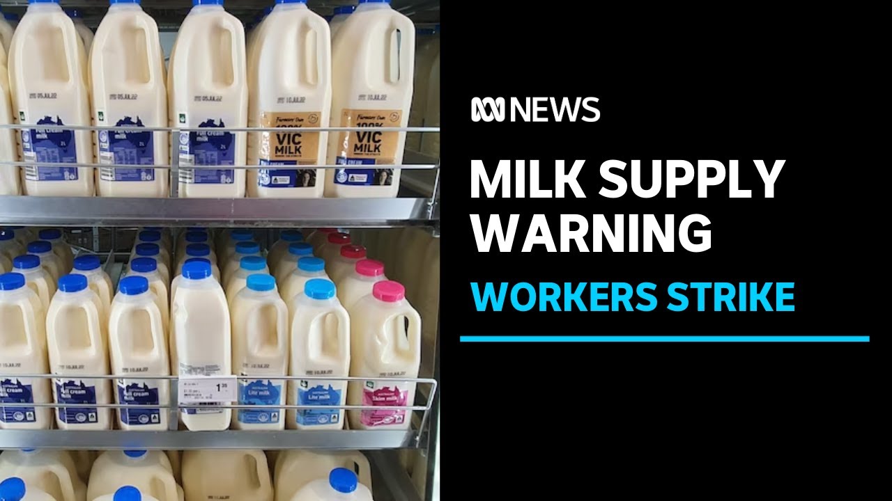 Striking dairy workers warn of milk shortages in Victoria | ABC News