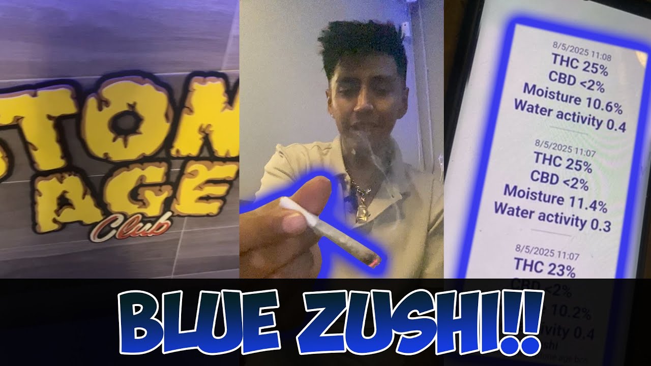 Blue Zushi (ES) Stone age Bcn  Review #207
