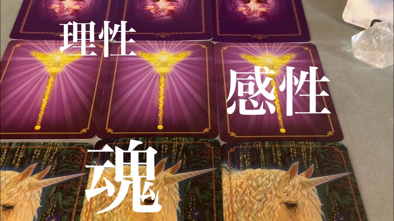 理性、感性、魂をテーマにお伝えさせて頂きました☆あなたの魂が求めていること☆