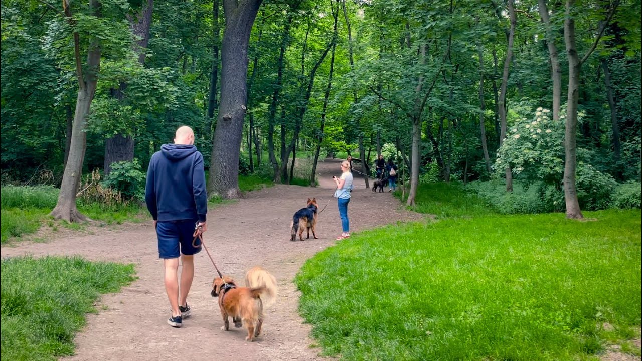 Vienna Walk, I Walk Into The Green Lung Of Vienna - The Prater - | 4K HDR | ASMR