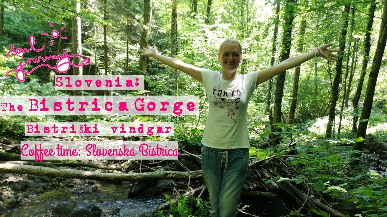 🌍 Soul journey ❤️ Slovenia  The Bistrica gorge Bistriški vindgar Coffee time  Slovenska Bistrica