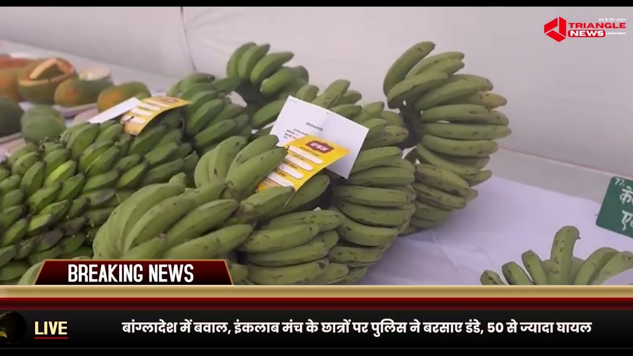 किसानों की मेहनत की मिसाल राजभवन में 6,7और 8 फरवरी तक चलेगी सब्ज़ियों और फूलों की भव्य प्रदर्शनी!”