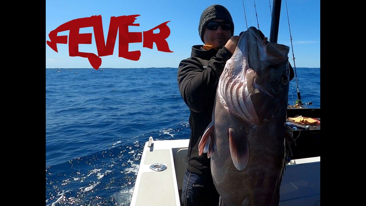 DEEPDROP SESSION BIG GREYS FEVER FISHING