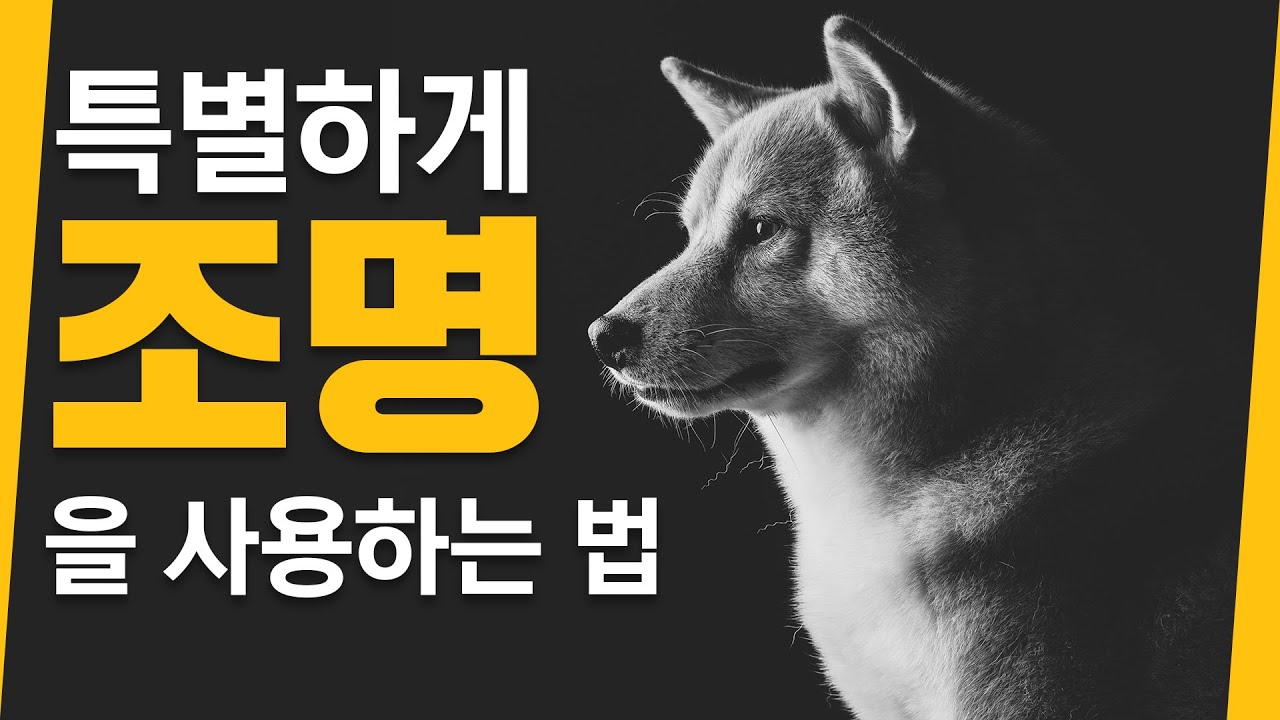 [SMDV] 좀 더 특별하게, 안전하게 반려견 찍는법! #사진조명 #smdv #반려동물