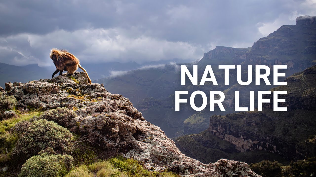 We need nature if we want to build a more prosperous world