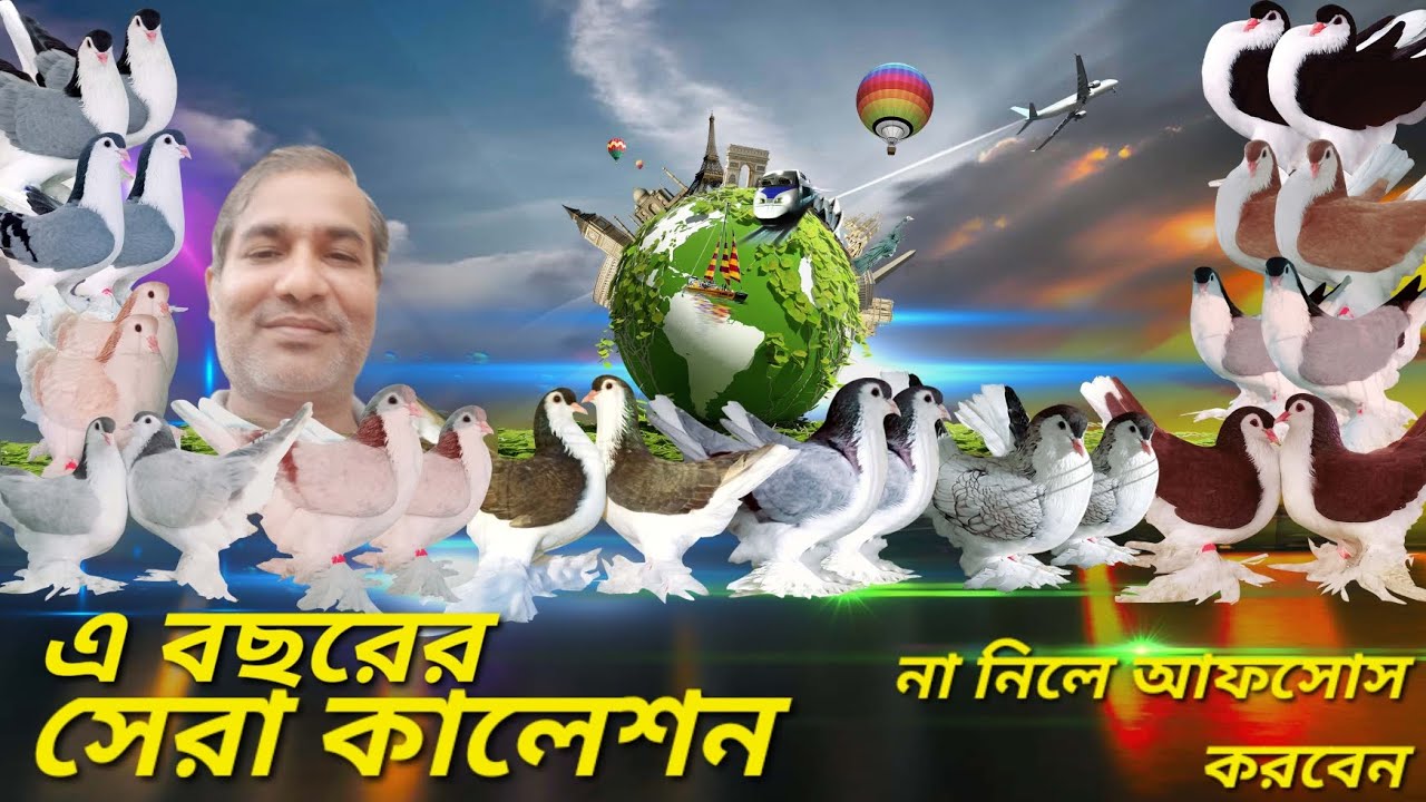 কবুতর বেশী লাগেনা |  এ বছরে সেরা ফ্রেন্সি কবুতর | আর্জেন্ট মডেনা কবুতর | শো-কিং কবুতর | লাহরী কবুতর