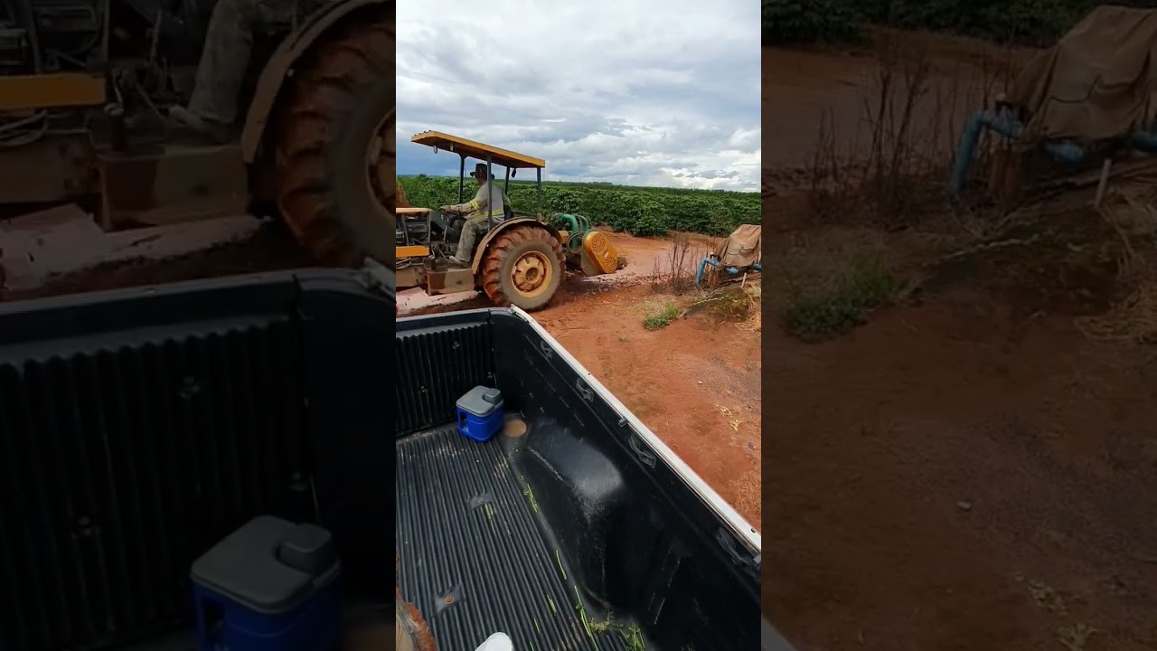 Dia de trinchar o caf&eacute;. #cafeicultura  #bf75 #valtra 🌱☕️🤣