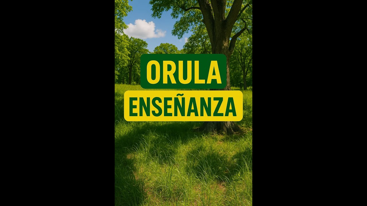 LO QUE NADIE TE CUENTA DE OYEKUN  MELLI
